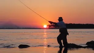 Nuevamente queda habilitada la pesca con devolución en Misiones