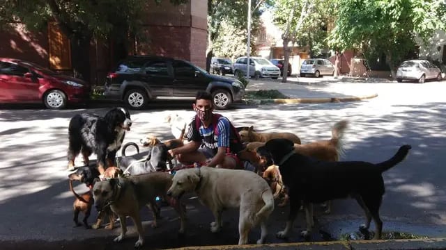 San Martín multará con mas de $1.000 a quienes no recojan las deposiciones de sus mascotas