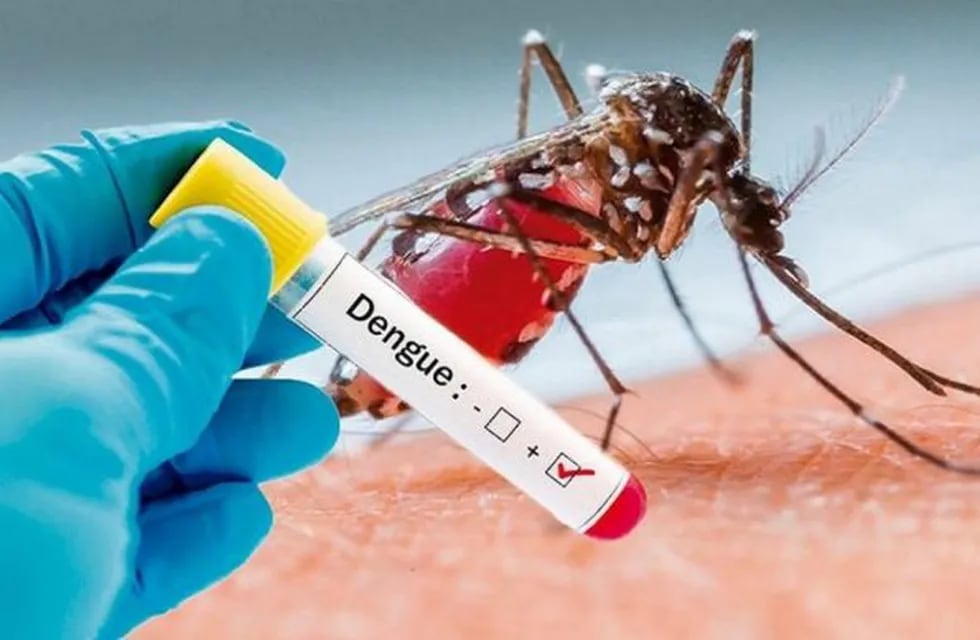 El dengue sigue preocupando con 1458 contagiados