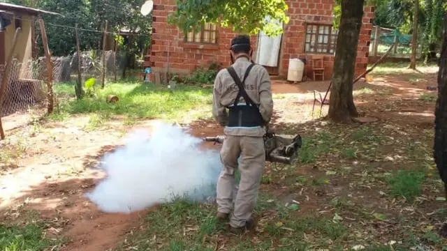 Realizaron operativos de fumigación contra la leishmaniasis en Puerto Iguazú