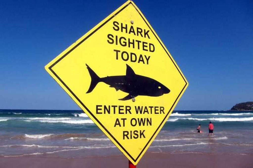 Las autoridades australianas advirtieron por la presencia de tiburones en aguas a baja profundidad y pidieron que no se bañen por 24 horas. 