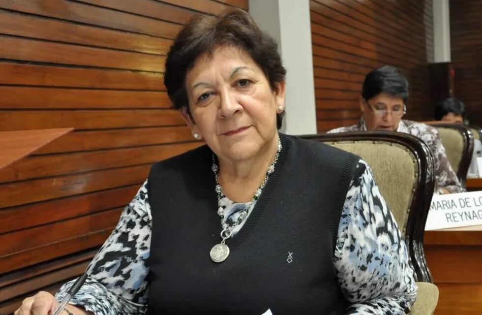 Dip. María Teresa Ferrín, presidente de la Comisión de Educación de la Legislatura de Jujuy.