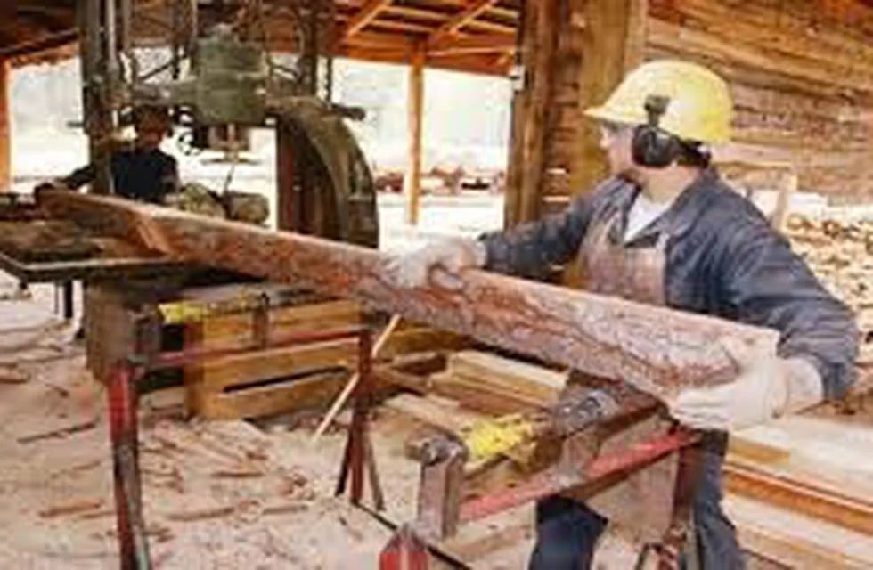 Aumentan salario de los madereros del Alto Paraná