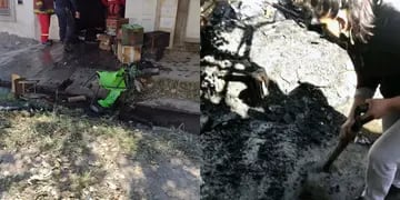 Albergaba más de 45 perros y 23 gatos y su casa se incendió
