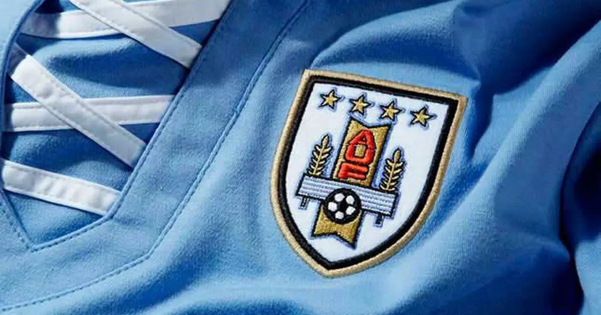 La FIFA decide retirar dos de las cuatro estrellas de Uruguay - UDigital  Portal