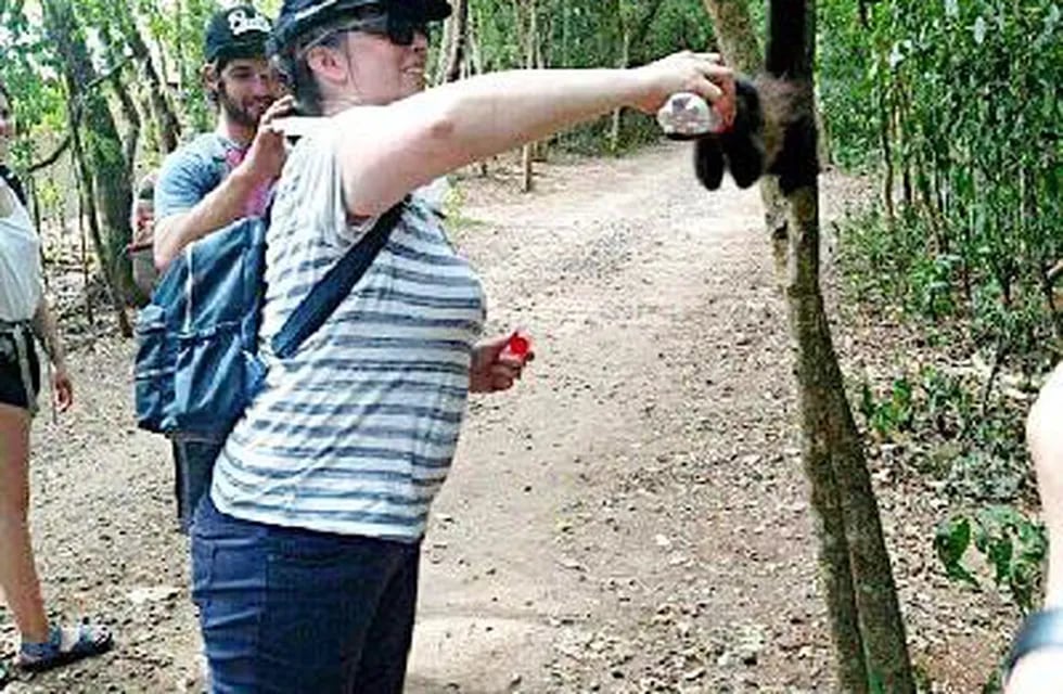 Turista dando de beber Coca Cola a un mono caí. (La Voz)