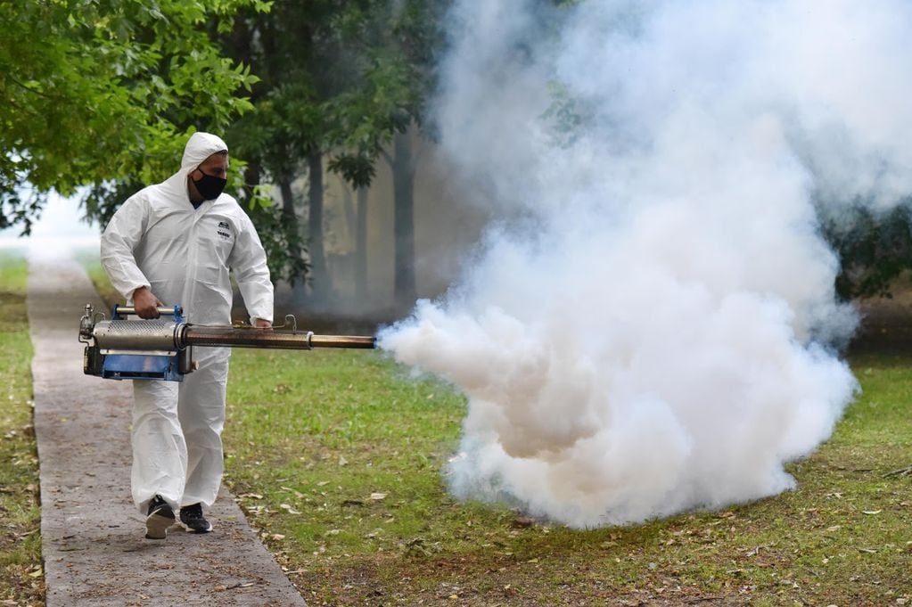 Operativos de fumigación y concientización contra el dengue