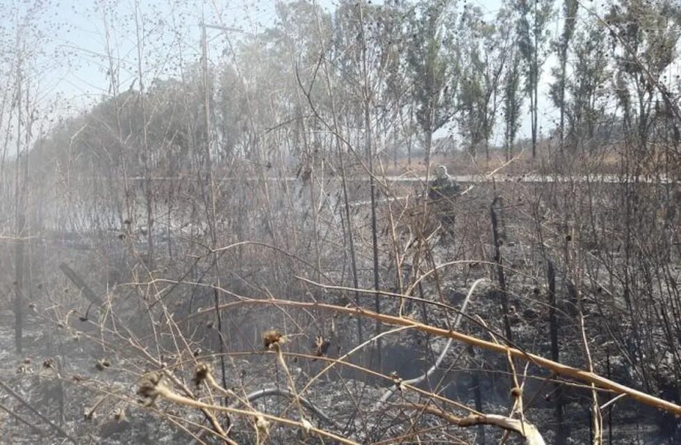 Incendios en Salta: se quemaron tres hectáreas en La Silleta. (Policía de Salta)