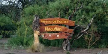 ¿Dónde se encuentra la Reserva Ñacuñán?