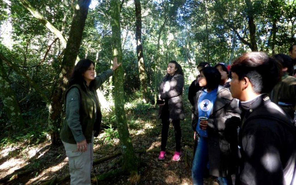 Temaikén y Aves Argentinas comenzaron el reconocimiento del suelo en las casi 1.500 hectáreas de las reservas de Yacyretá y Osonunú. (Argentina Forestal)
