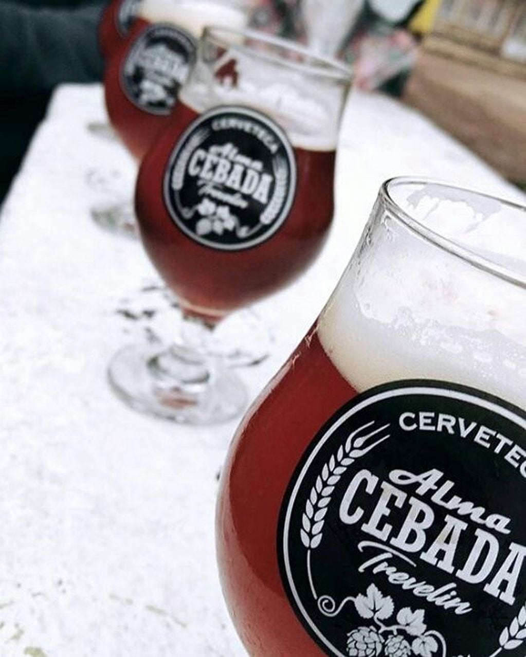 La variedade cervezas artesanales podrán disfrutarse en Trevelin.