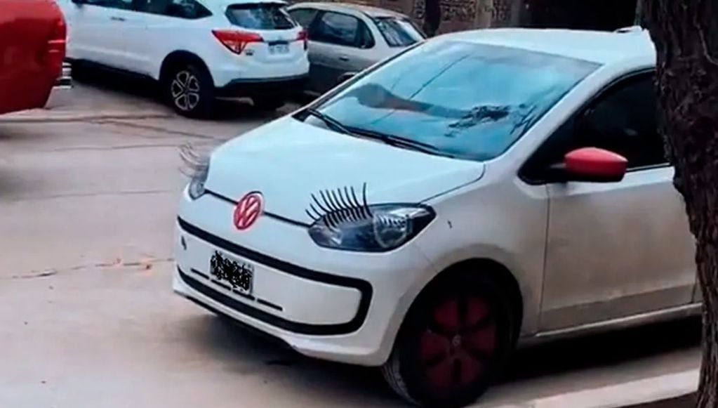 Un auto mendocino con un particular look se volvió viral