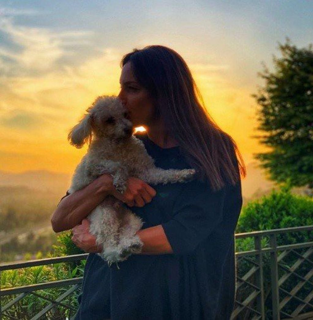 Luciana Aymar recibe todo el amor de su mascota mientras transcurre el embarazo. (Instagram)