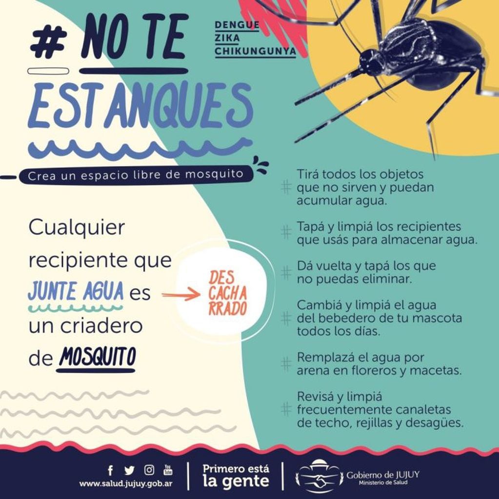 Infografía distribuida por la autoridades sanitarias, en la lucha contra el mosquito Aedes Aegipty.