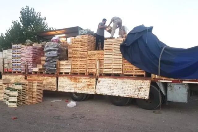 ISCAMEN decomisó 400 kilos de pimiento que iban a San Rafael