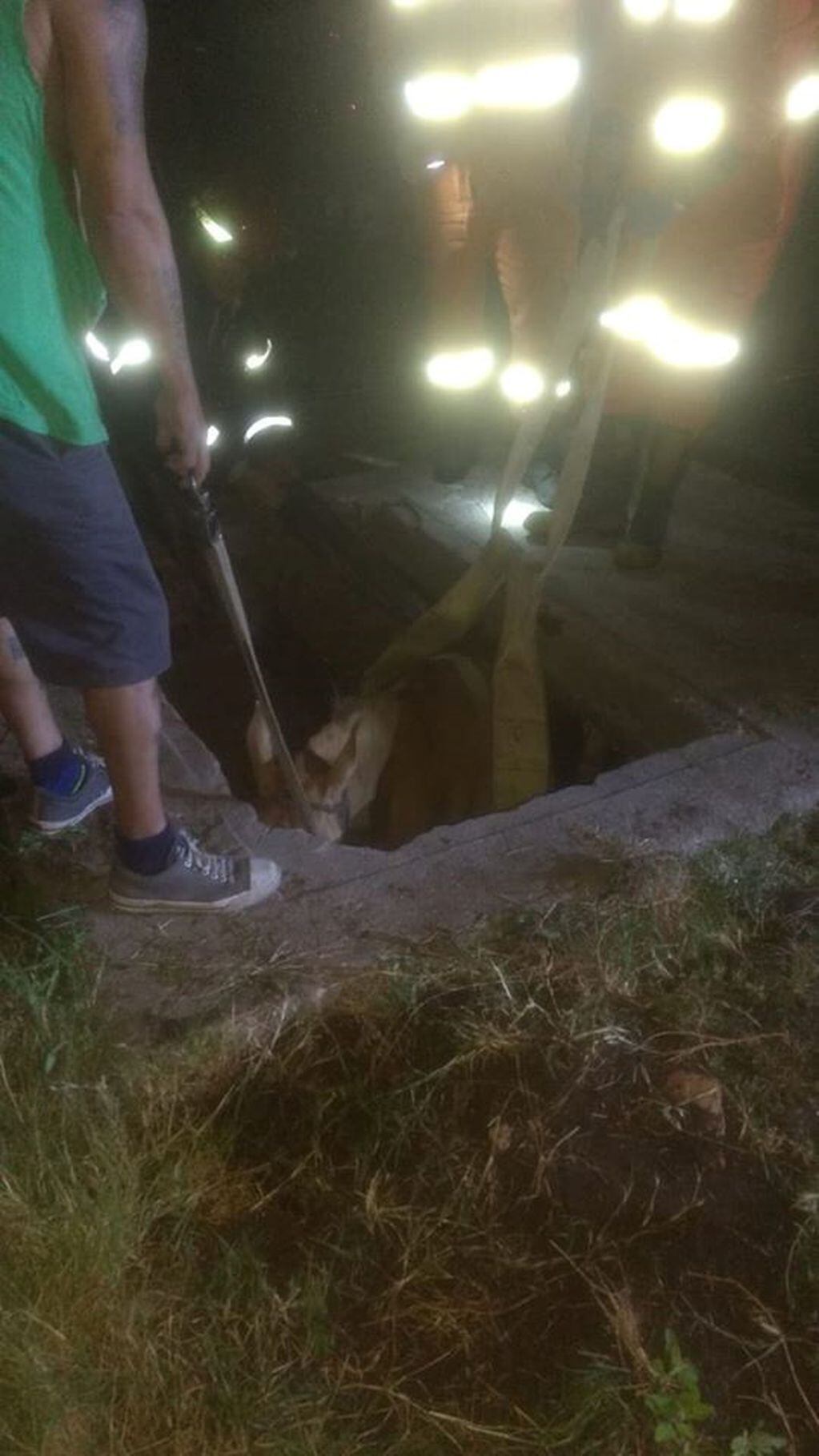 Caballo se cayó en un pozo en Villa del Rosario