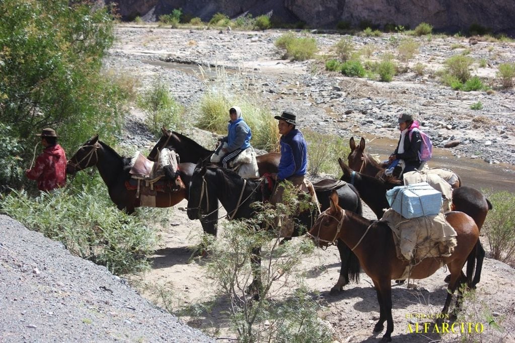 Los voluntarios de la Fundación Alfarcito colaboran con las familias que viven aisladas en la Quebrada del Toro.