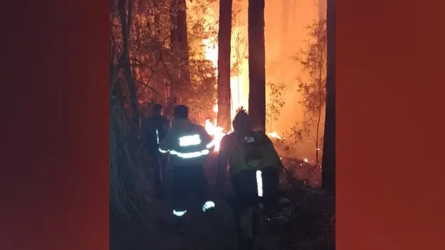 Bomberos luchan por apagar un incendio forestal en Mártires