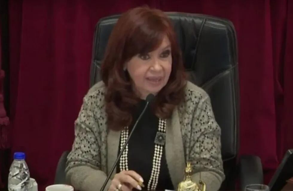 El cruce entre Martín Lousteau y Cristina Kirchner en el Senado: \