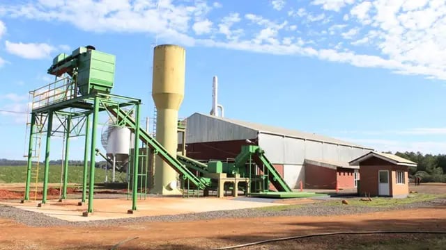 Continúa avanzando la producción de fécula de mandioca en la planta de Puerto Esperanza