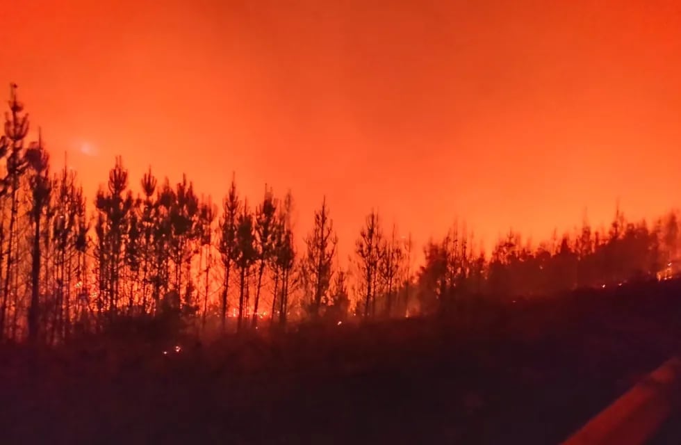 Los bosques están siendo arrasados por el fuego en Chubut.