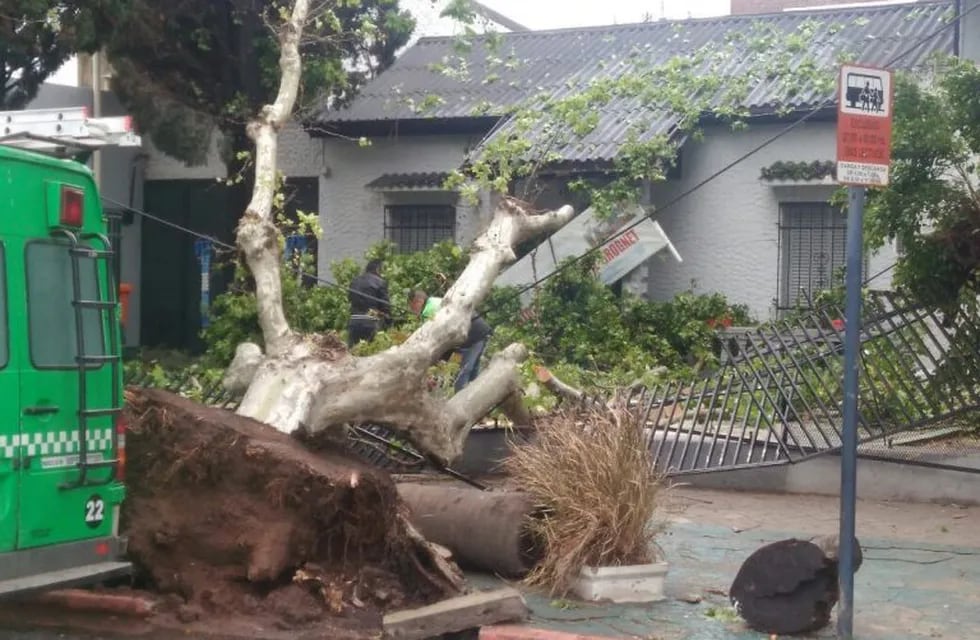 Las ramas causaron destrozos en el colegio Grognet de zona norte. (Red de emergencias)