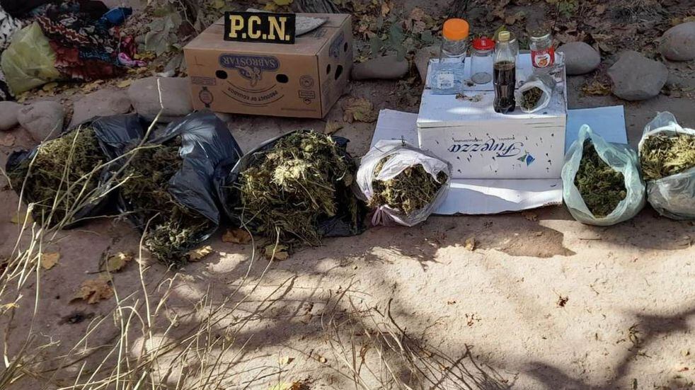 Secuestro de hojas y cogollos de marihuana en una casa en Maipú.