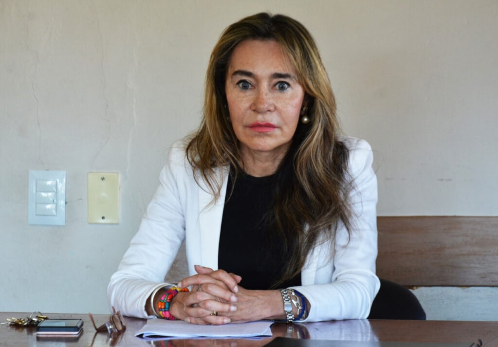 Dra. María Margarita Nallar, jueza unipersonal con función de juicio en el caso del intento de femicidio en Palpalá.