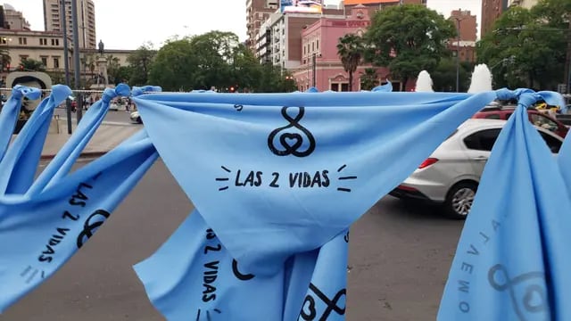 Caravana "salvemos las dos vidas" en Córdoba