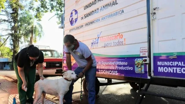Zoonosis Municipal esterilizó a 1300 mascotas en el municipio de Montercalo