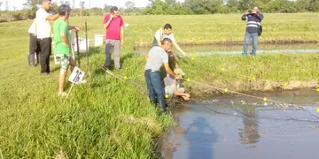 Capacitación en producción acuícola en la comunidad Yryapú