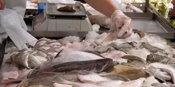 Semana Santa en Posadas: controlarán la venta de pescado para evitar enfermedades