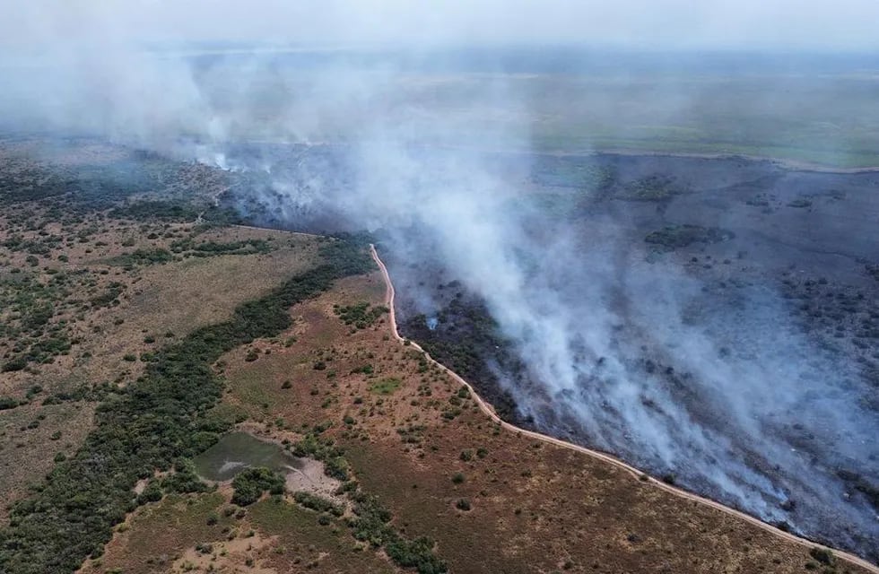 La Fundación Rewilding Argentina, estimó que el fuego destruyó el 40% del Parque Nacional Iberá.