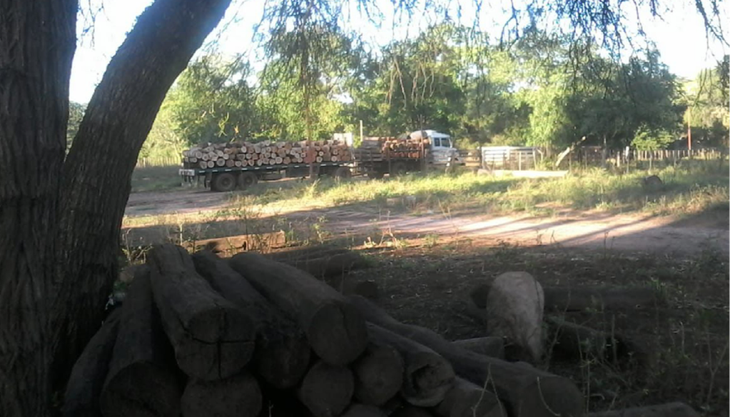 Los lugareños reclaman un cambio de administración porque la tala ilegal no cesa.