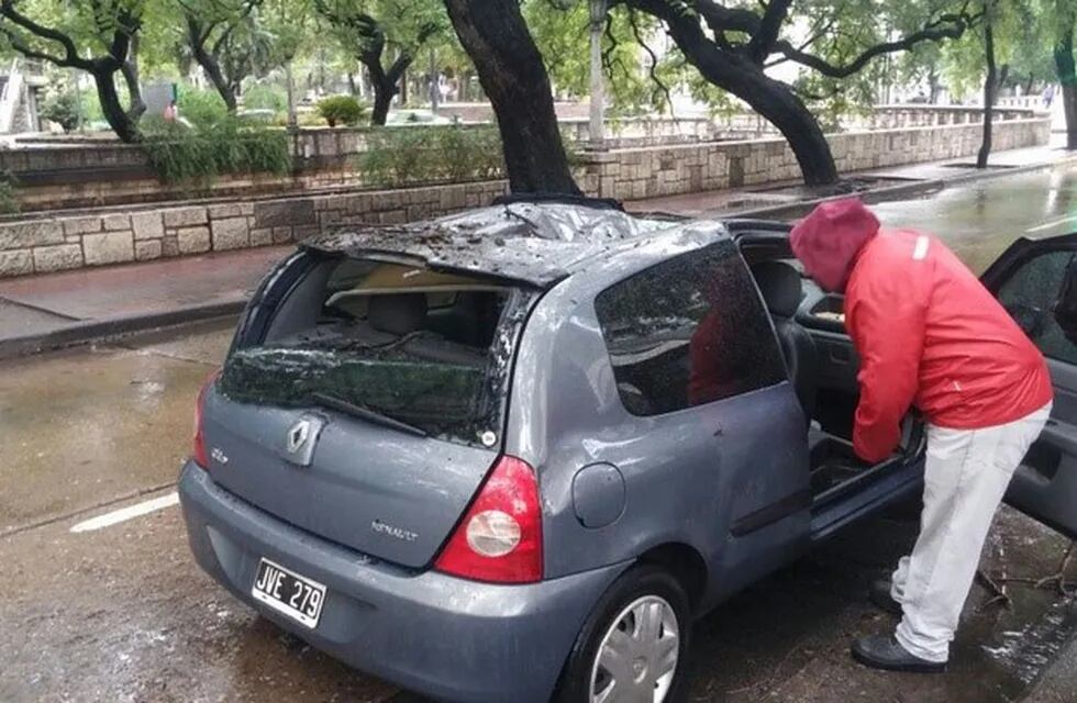 El árbol de grandes dimensiones cayó sobre el auto en La Cañada.