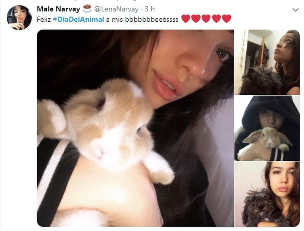 Malena Narvay compartió fotos junto a su conejo y a su perro