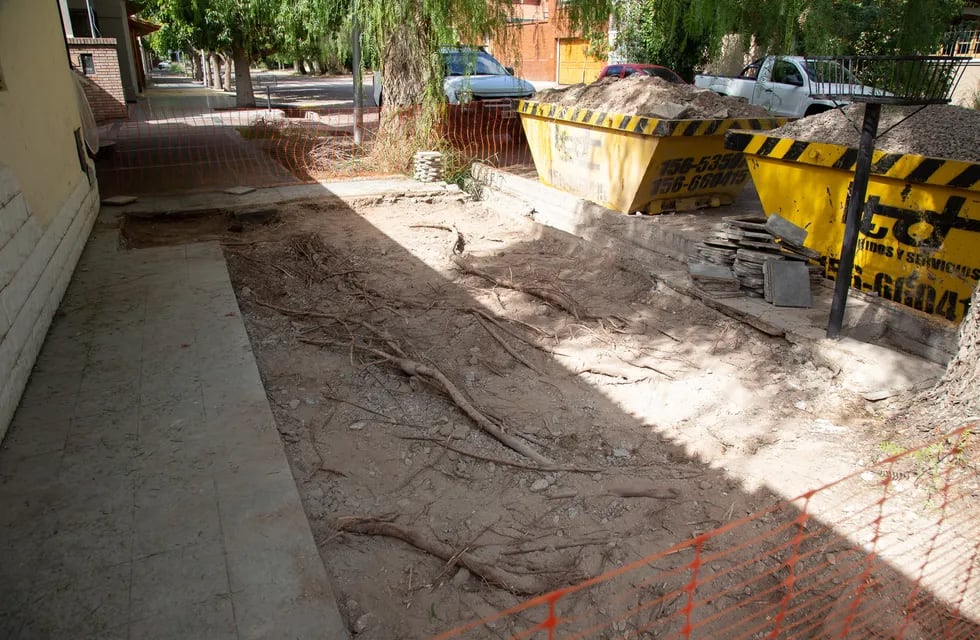 La Municipalidad de la Ciudad de Mendoza ya trabaja en el arreglo de veredas dañadas por el arbolado en la Cuarta y Sexta Secciones. Gentileza MCM