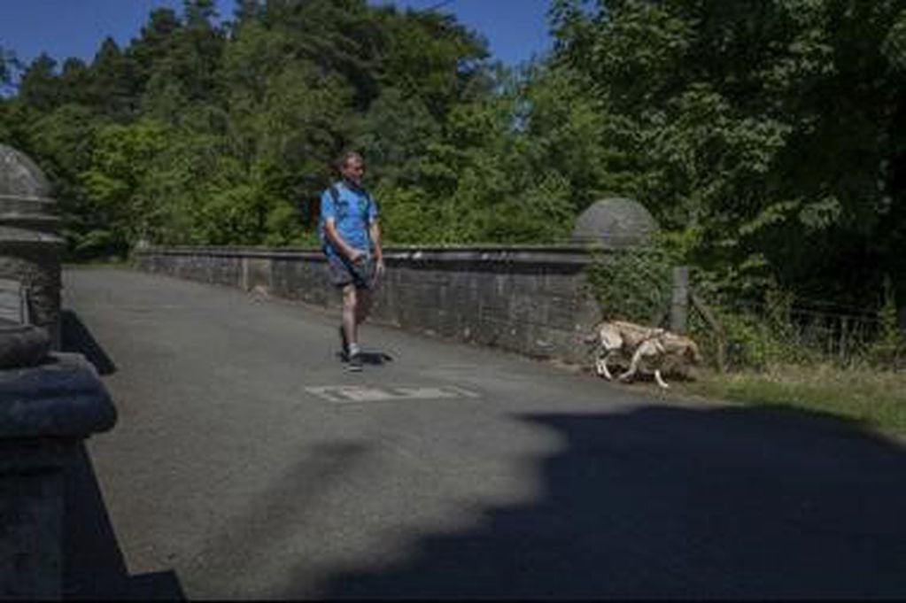El Puente Overtoun en Dumbarton, Escocia, donde los perros son poseídos por una extraña energía