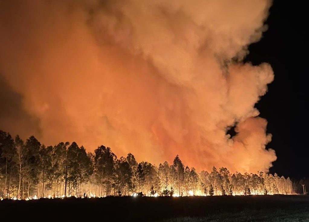 Impactantes imágenes: así está el incendio en Villa Olivari, Corrientes.
