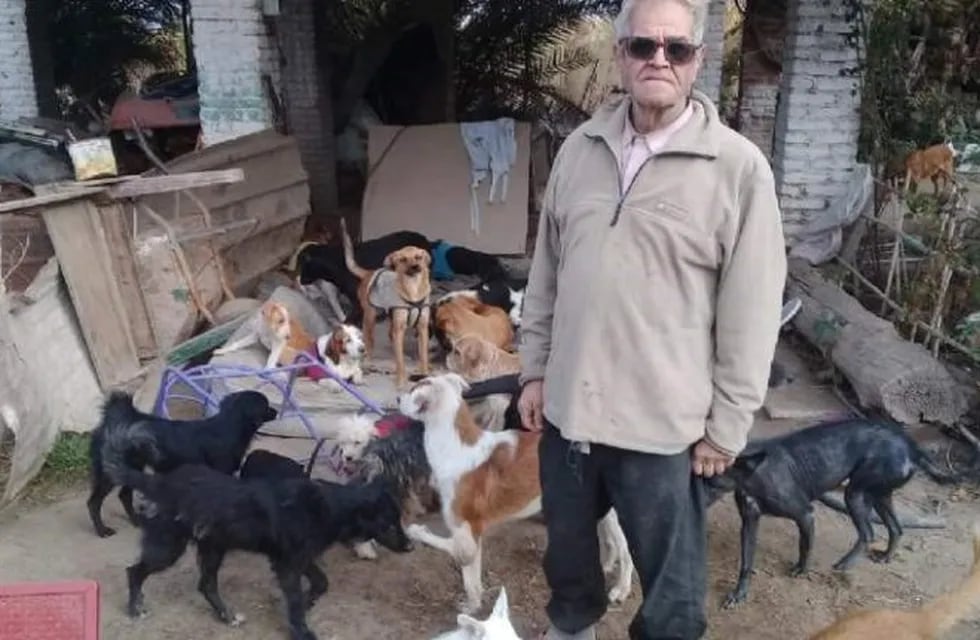 Ricardo dedica su vida a proteger a los perritos de la calle.