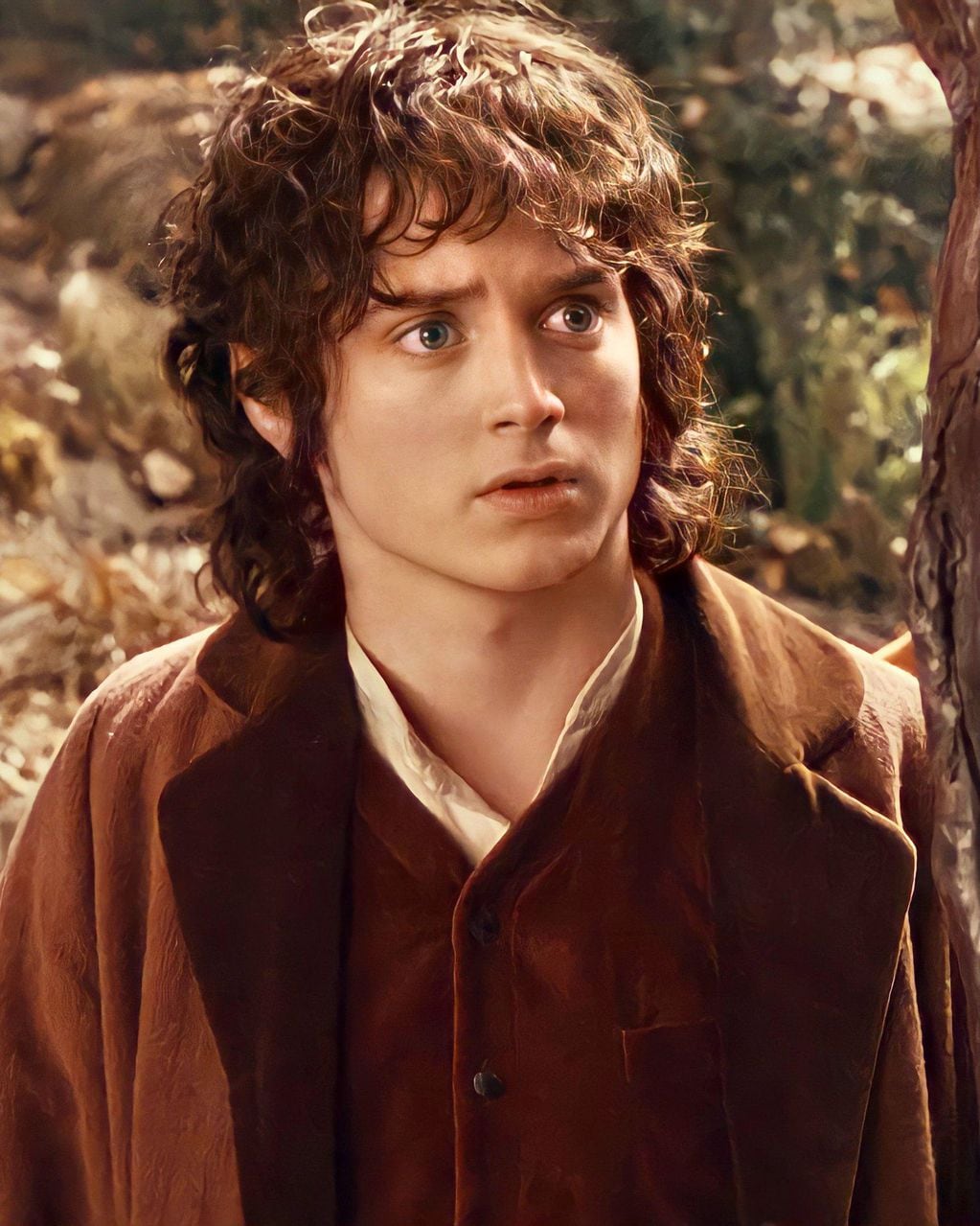 Elijah Wood como "Frodo".