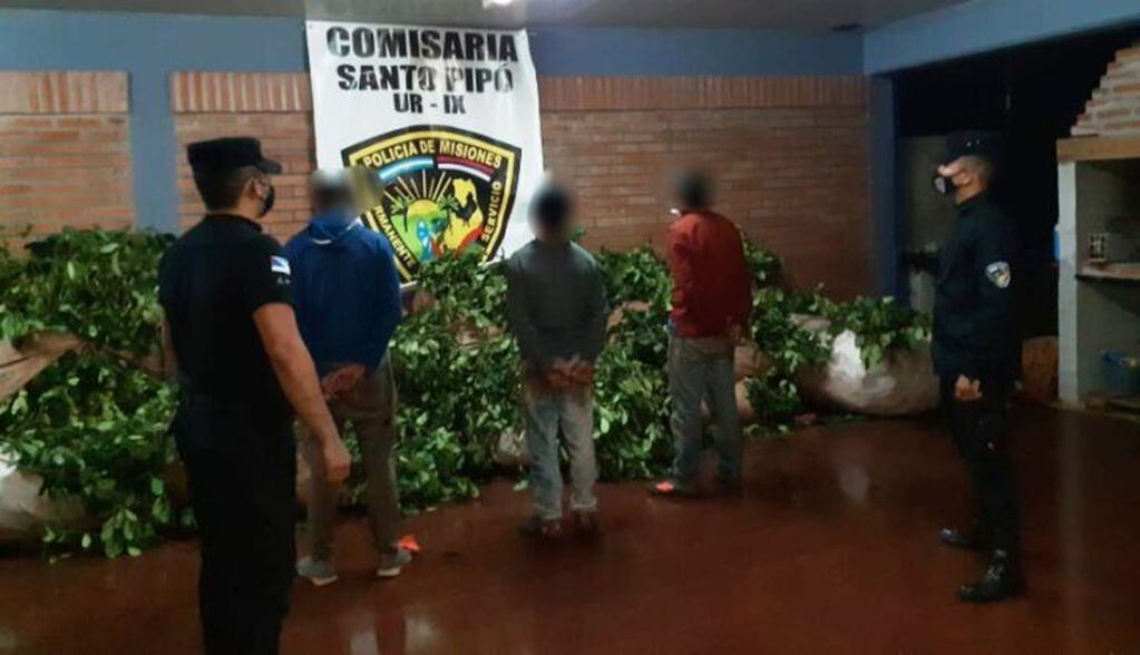 Robo de yerba mate: 4 detenidos en Santo Pipó y San Pedro. Policía de Misiones