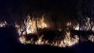 Incendios en el Norte de San Luis