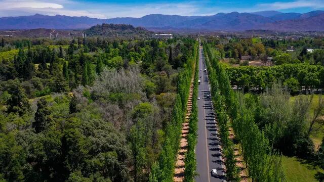 Mendoza Bellísima