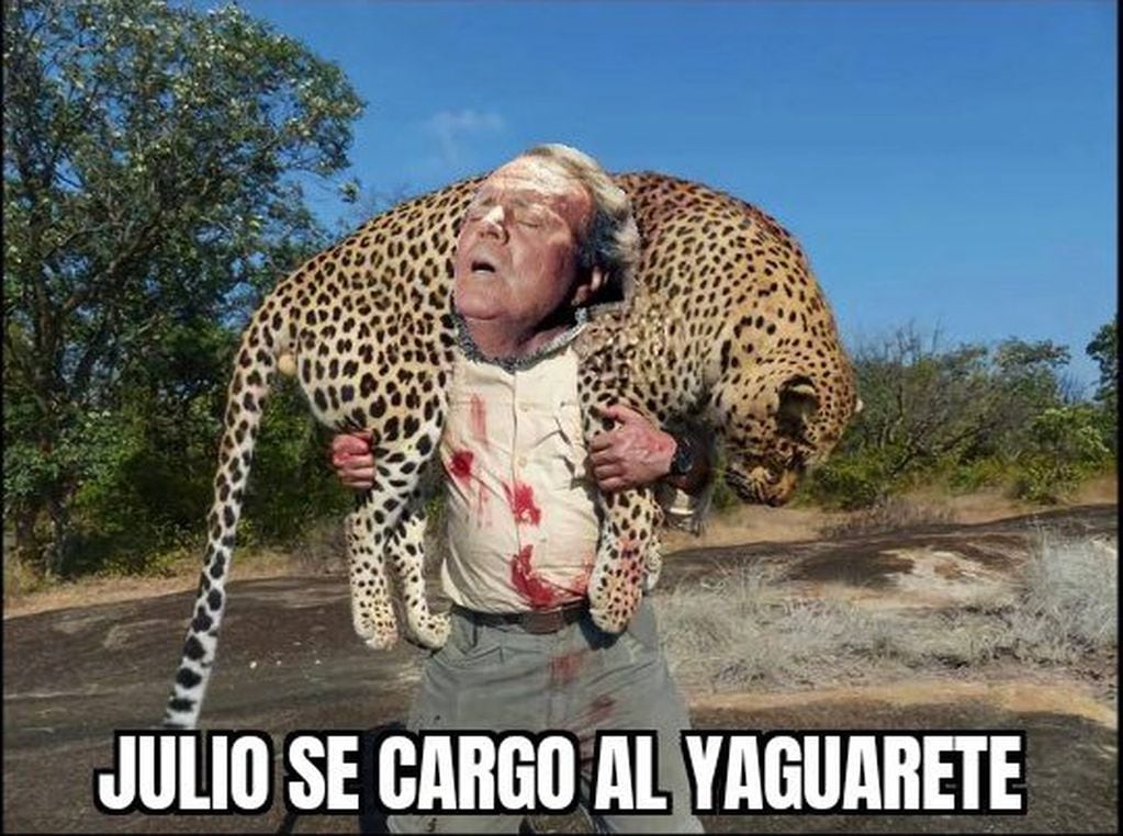 Los mejores memes del yaguareté