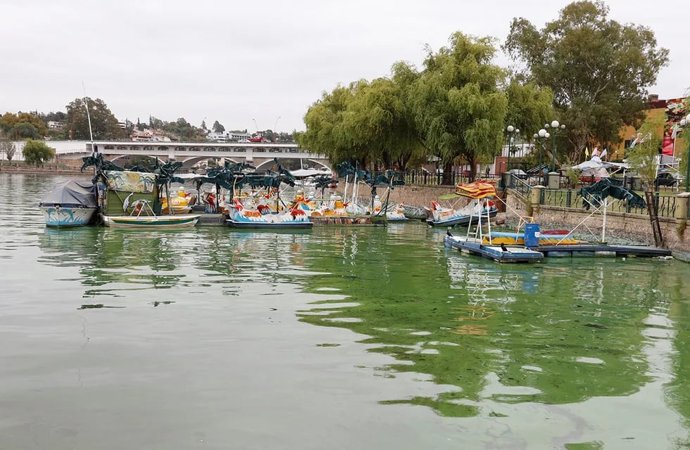 Lago San Roque de Villa Carlos lleno de algas agua contaminada color verde. (La Voz)