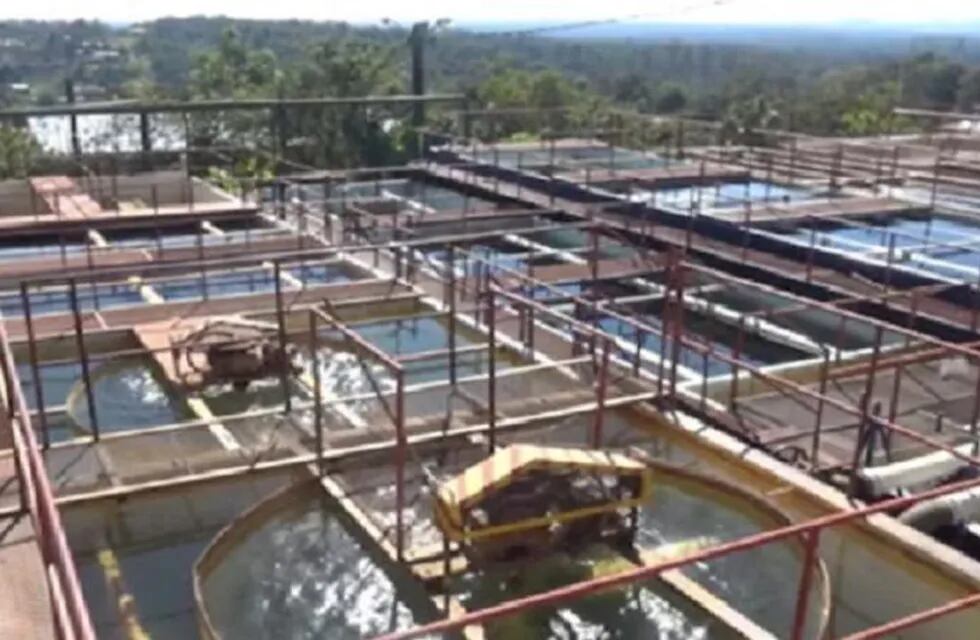 Eldorado: varios sectores con escasez de agua por alta demanda.