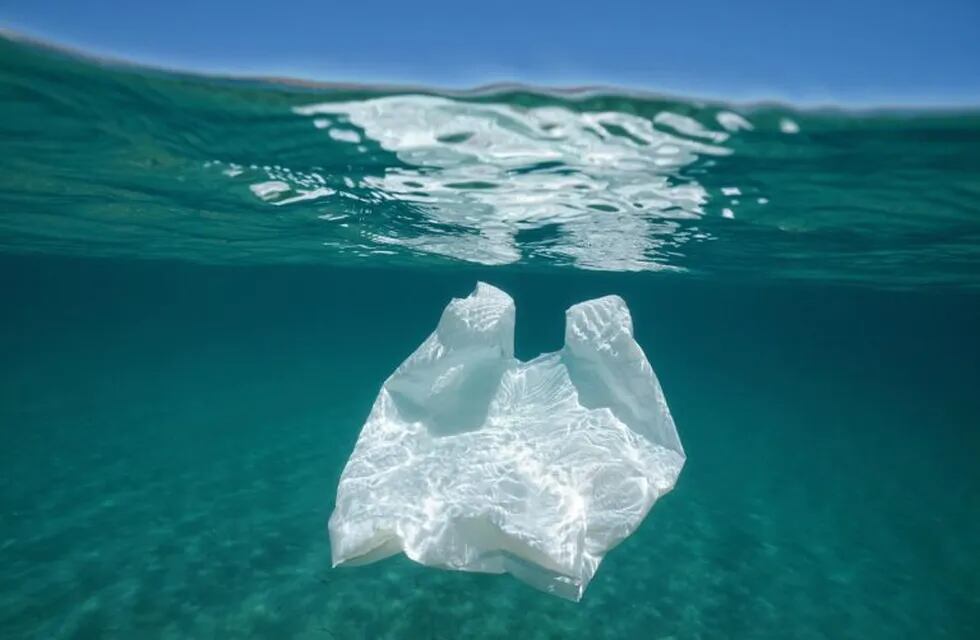 Un producto marplatense podría terminar con el plástico