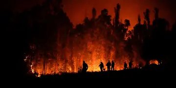 Incendios en Puren, Chile. (AP/Matías Delacroix/Archivo)