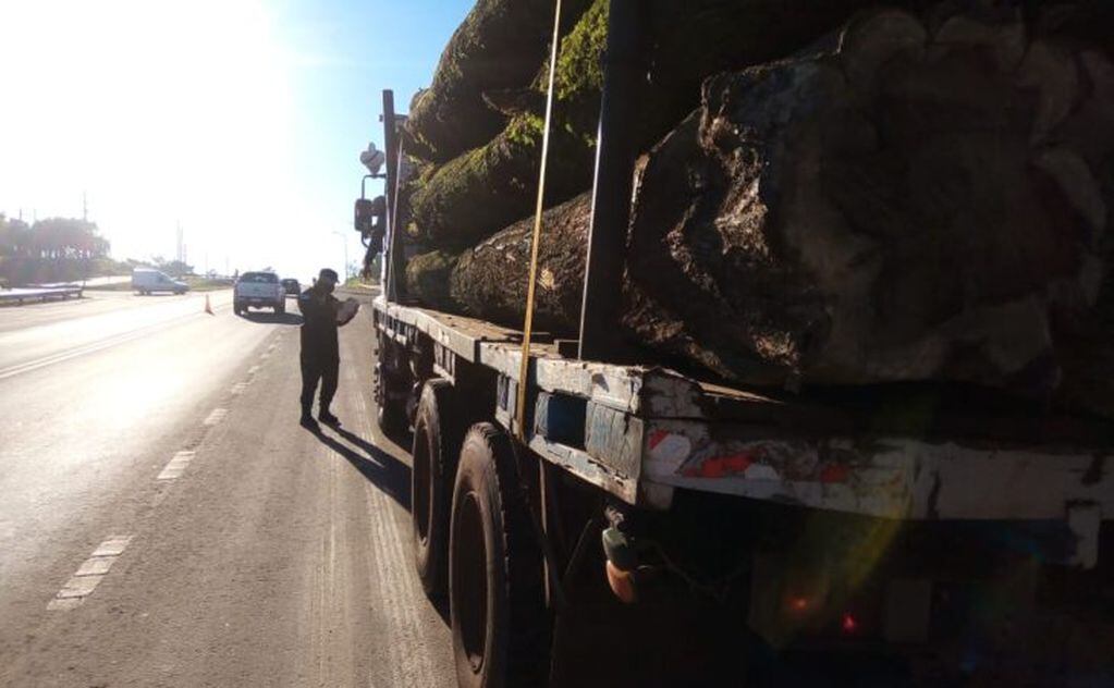 Guaraní: logran interceptar un camión con madera nativa. Policía de Misiones